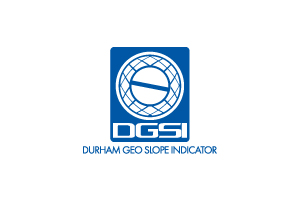DSGI Logo