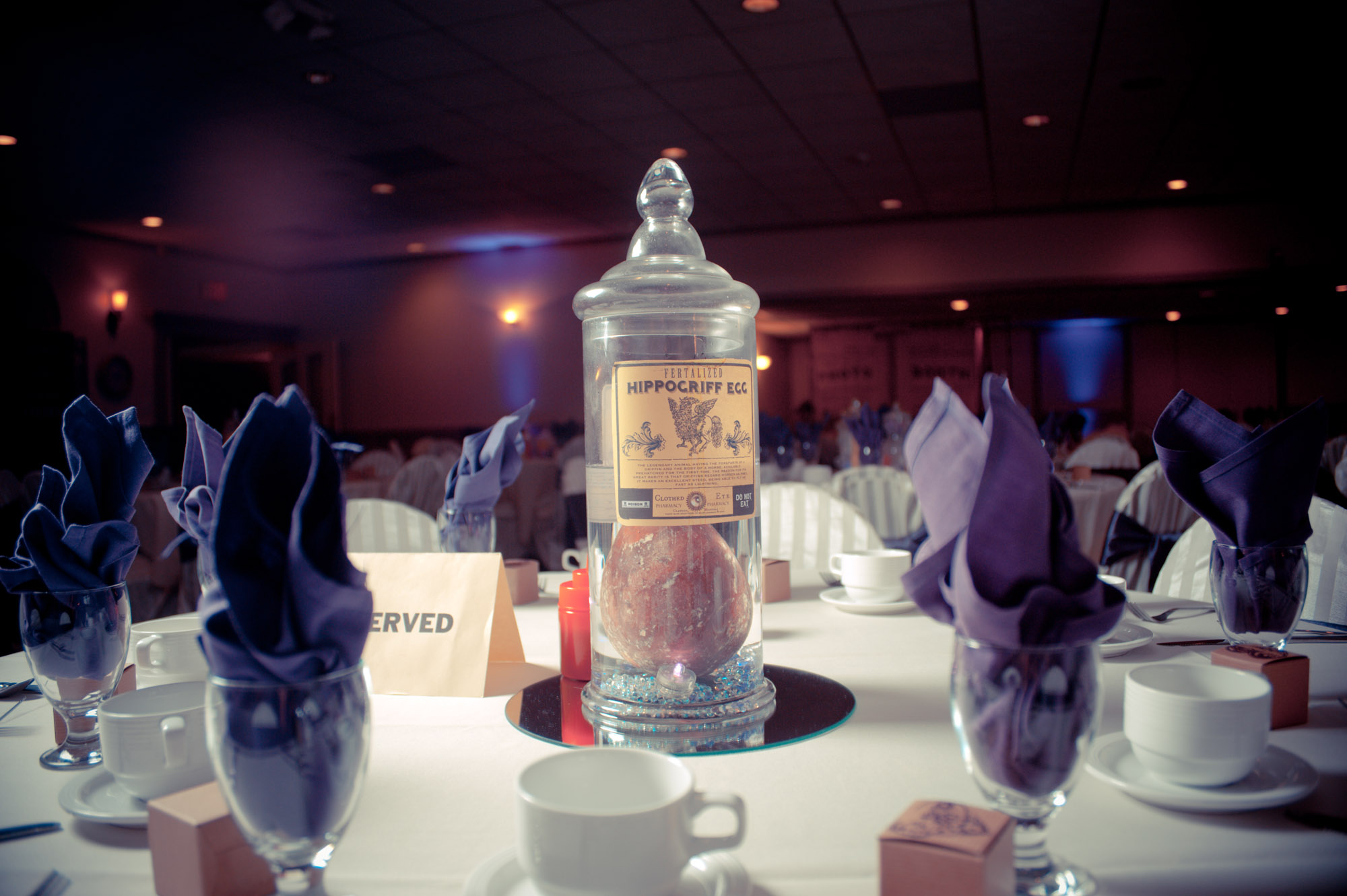 Giant Egg in a Jar Centerpiece - Fertalized Hippogriff Egg